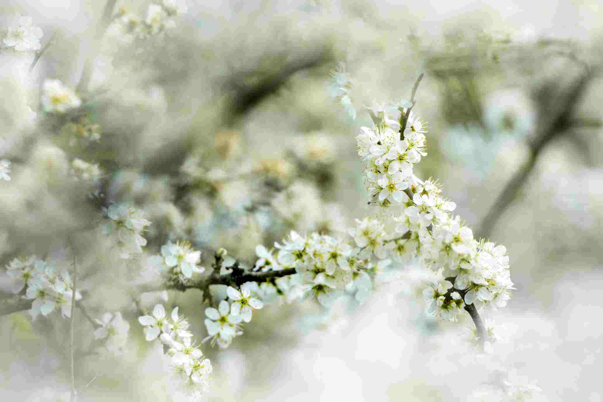 Las 15 mejores extensiones de VS Code que todo desarrollador debe probar en 2026 🚀