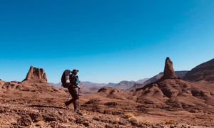 🅰️ ¡Angular 16: la actualización más esperada! Descubre sus nuevas funciones y cómo sacarle el máximo provecho