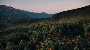 DEJA de usar console.log en JavaScript. Pruebe esto en su lugar