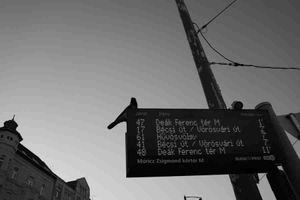 5 bibliotecas de utilidades JavaScript para mejorar su eficacia