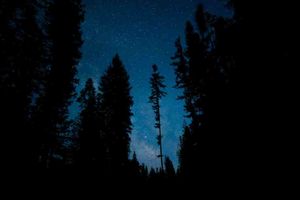 Patrones de Diseño Angular: Patrón Estrategia