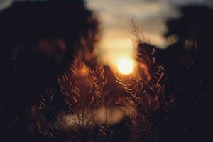 Arquitectura dirigida por eventos en Node.js