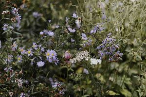 ¡Las mejores extensiones de VSCode de las que estoy enamorado! ❤️