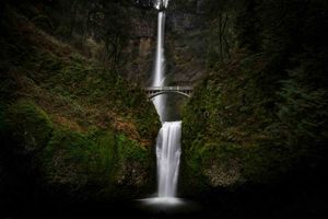 Todo ingeniero de IA debe conocer estas 15 bibliotecas de Python