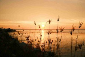 Signals en Angular: todo lo que necesitas saber