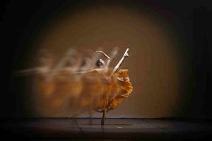 6 ideas de SaaS para construir en 2025 (antes de que lo haga otro)