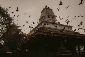 8 asistentes de IA para desarrolladores frontend que cambiarán tu forma de programar