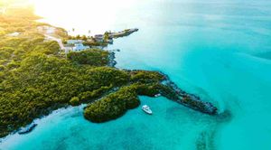 Vibe Code es una idea horrible. También lo es descartar la codificación asistida por IA.