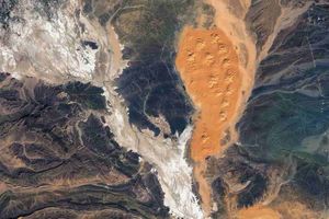 ¿El fin de Docker? Las razones por las que los desarrolladores cambian sus tiempos de ejecución