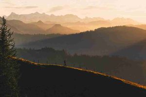 Angular Multi-Lenguaje Sin Librerías: Un Pipe Personalizado con Signals 🌍