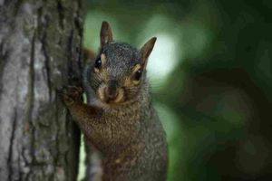 Cursor 0.5 acaba de salir - Estas son todas las características que necesitas saber