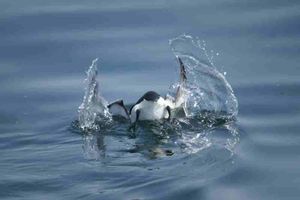 He probado 7 marcos de agentes de IA en 2025