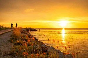 Los 5 mejores proyectos de IA para 2025 (de principiante a avanzado)