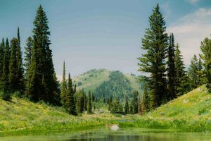 Prompts filtrados de Cursor AI: 7 trucos de ingeniería de prompts en Vibe Coding