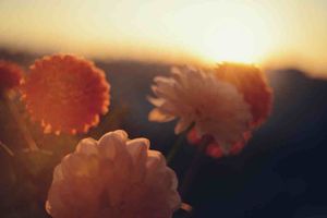 Cómo programo un 80 % más rápido con Cursor AI (los mejores consejos aquí)