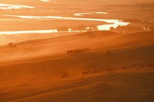 11 herramientas de IA que te hacen rápidos