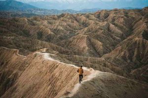 Google acaba de hacer Gemini CLI aún más loco 🤯