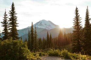 ¿Quién arreglará el código de la IA en 2030?