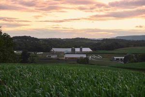 10 extensiones, skills y herramientas de Claude Code que pueden mantener tu gasto en tokens por debajo de $13 al día